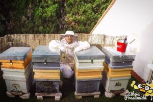 Cómo iniciar un colmenar desde cero: guía completa para apicultores principiantes