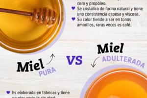 Miel pura vs miel procesada: cómo identificar un producto auténtico